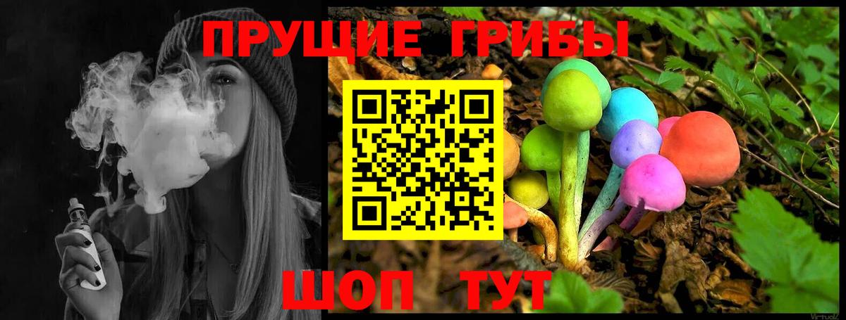 Грозный  Псилоцибиновые грибы Psilocybe  Вход с VPN 