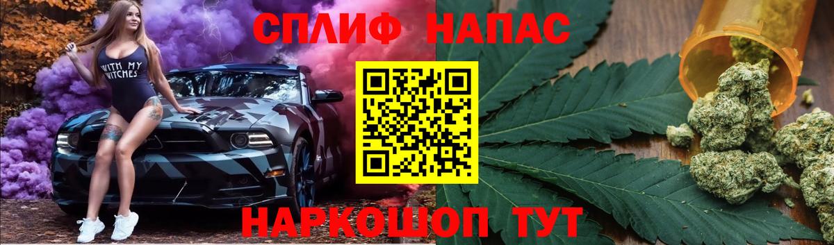 Каннабис конопля Грозный